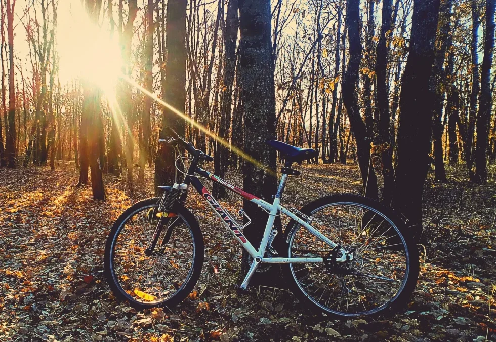 Wild Rides: Discover Hilton Head’s Nature by Bike
