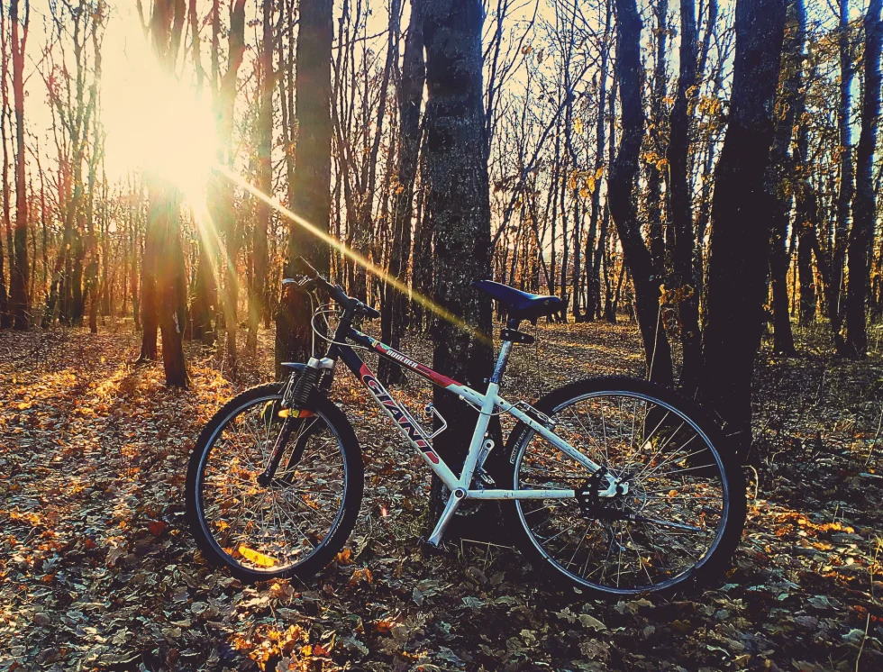 Wild Rides: Discover Hilton Head’s Nature by Bike